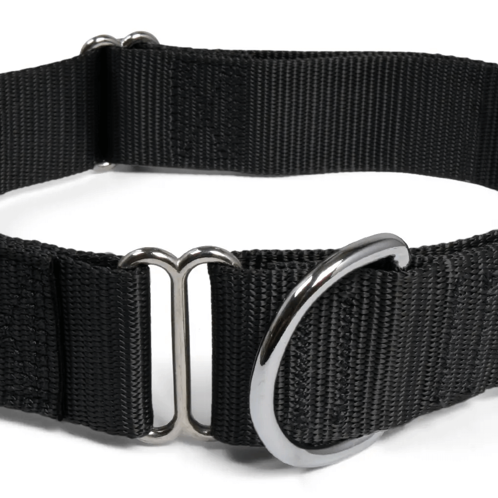 Comfy Martingale Collar