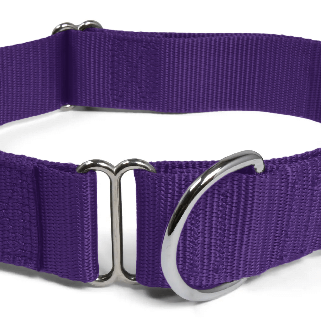 Comfy Martingale Collar