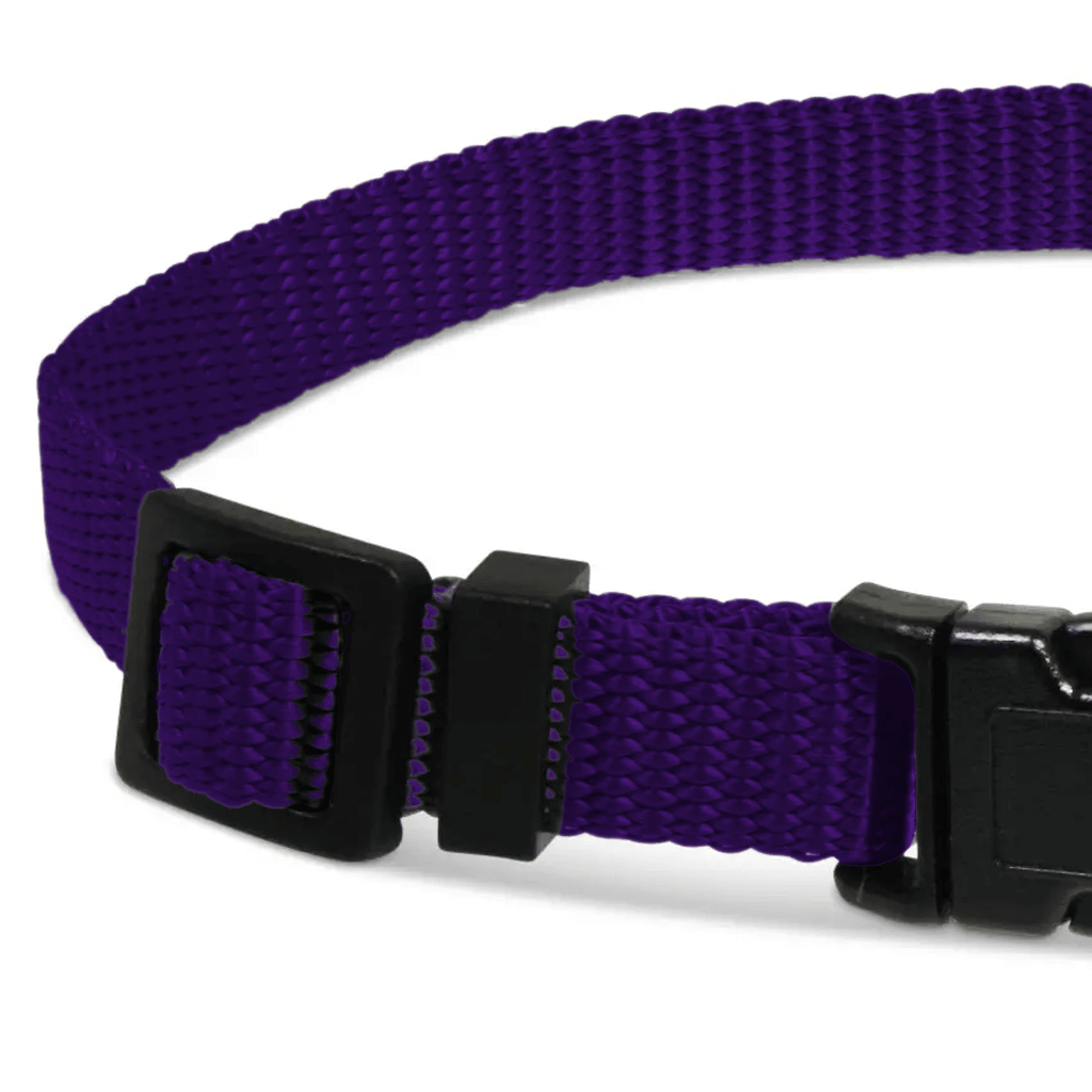 Comfy Collar