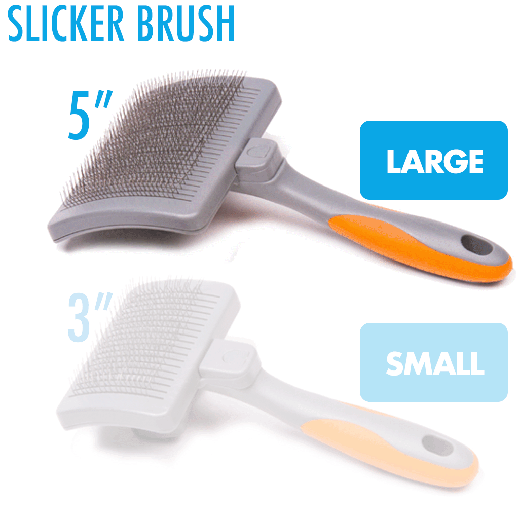 Pet Brush