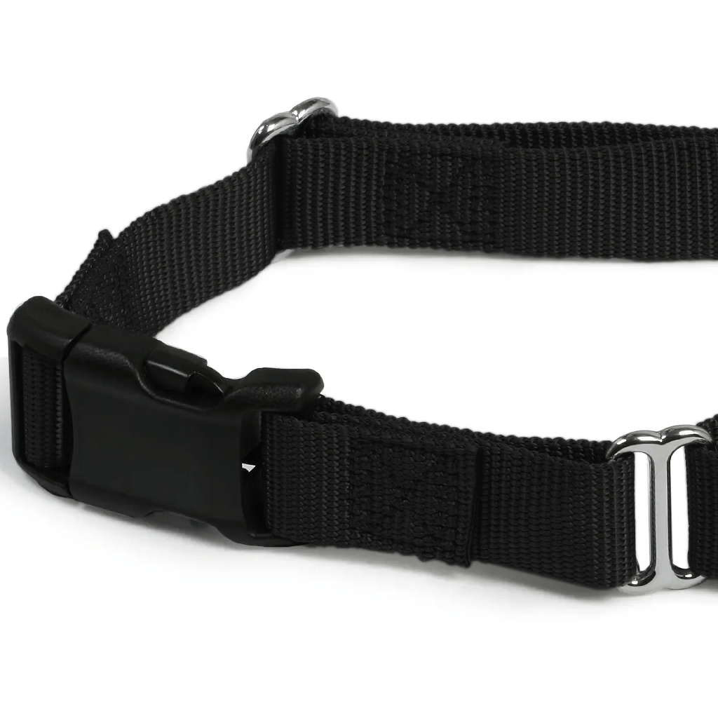 Comfy Martingale Collar