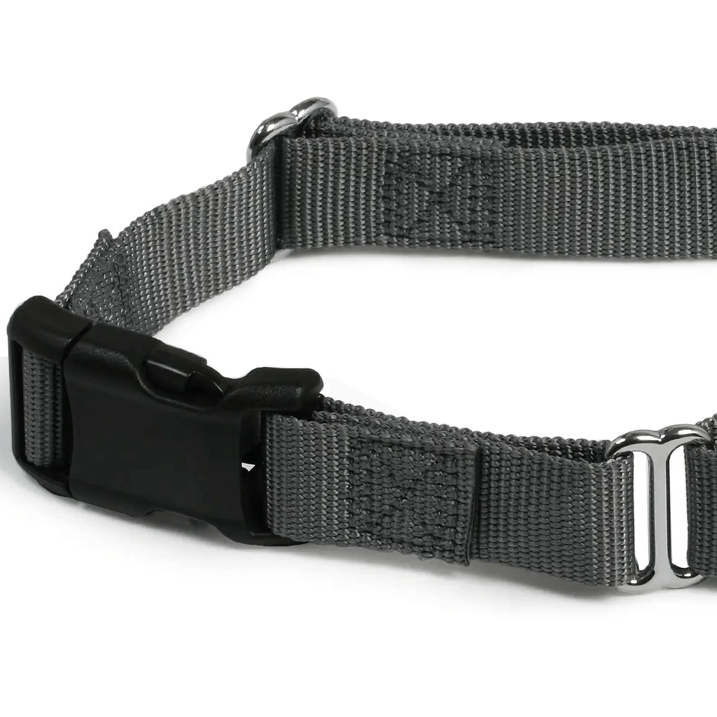 Comfy Martingale Collar