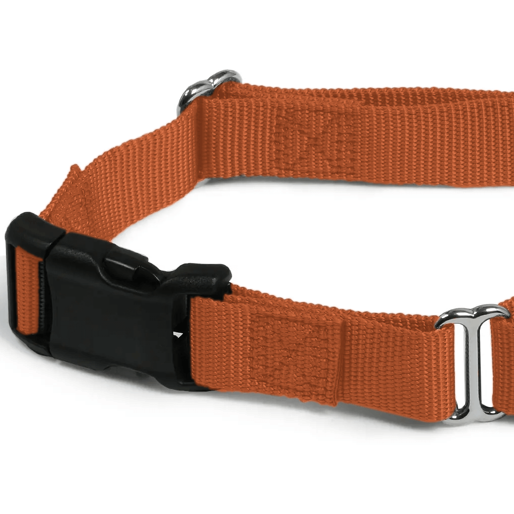 Comfy Martingale Collar