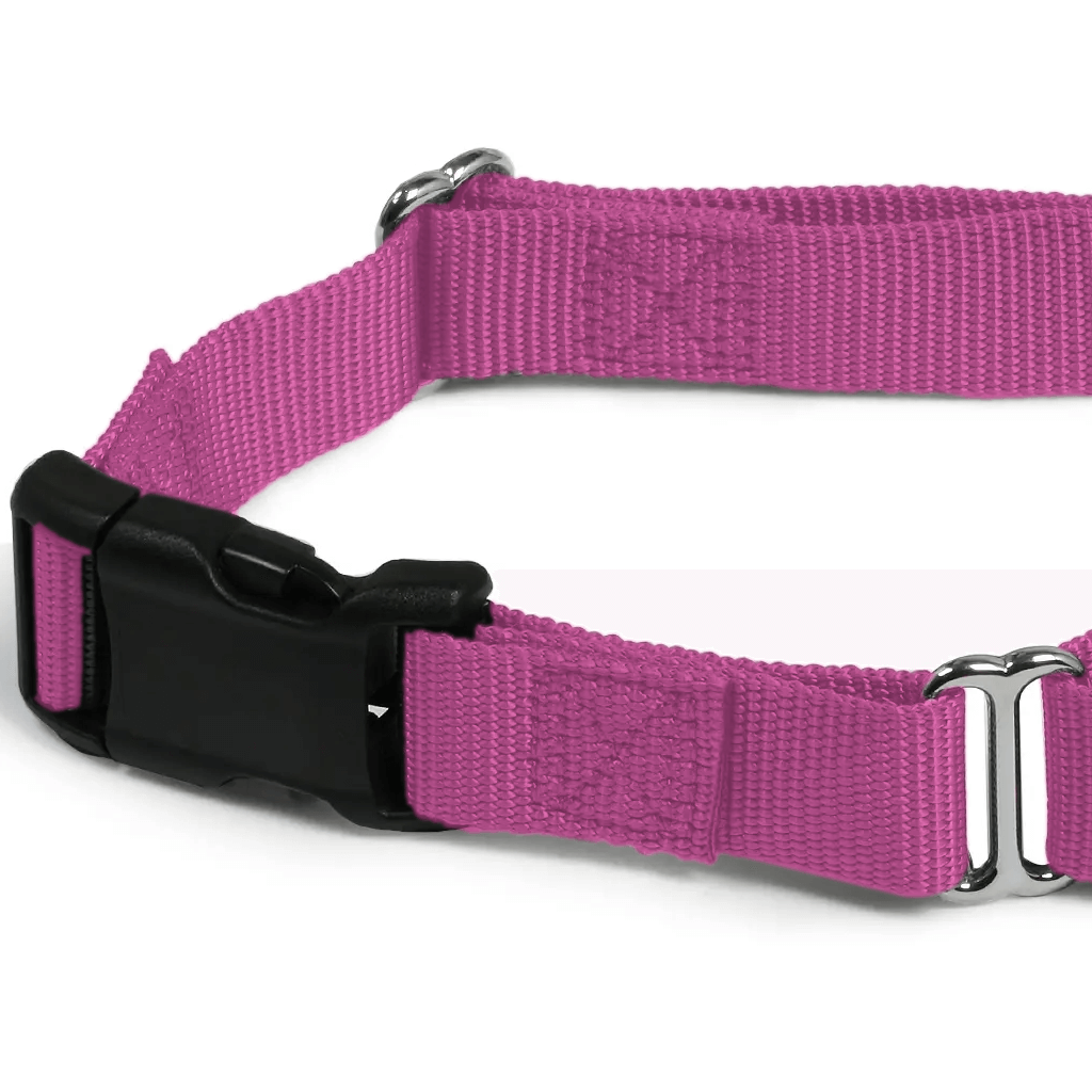 Comfy Martingale Collar