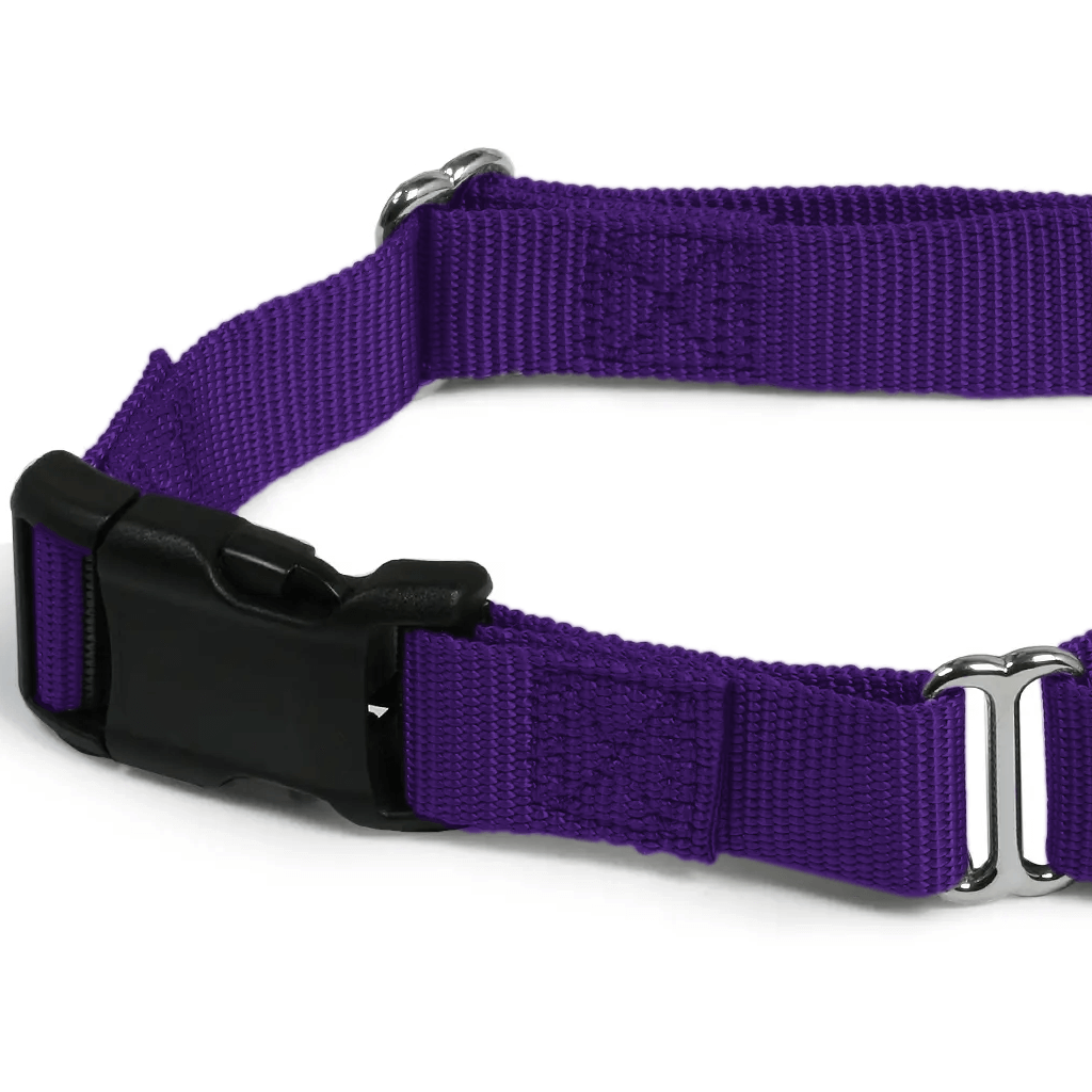 Comfy Martingale Collar