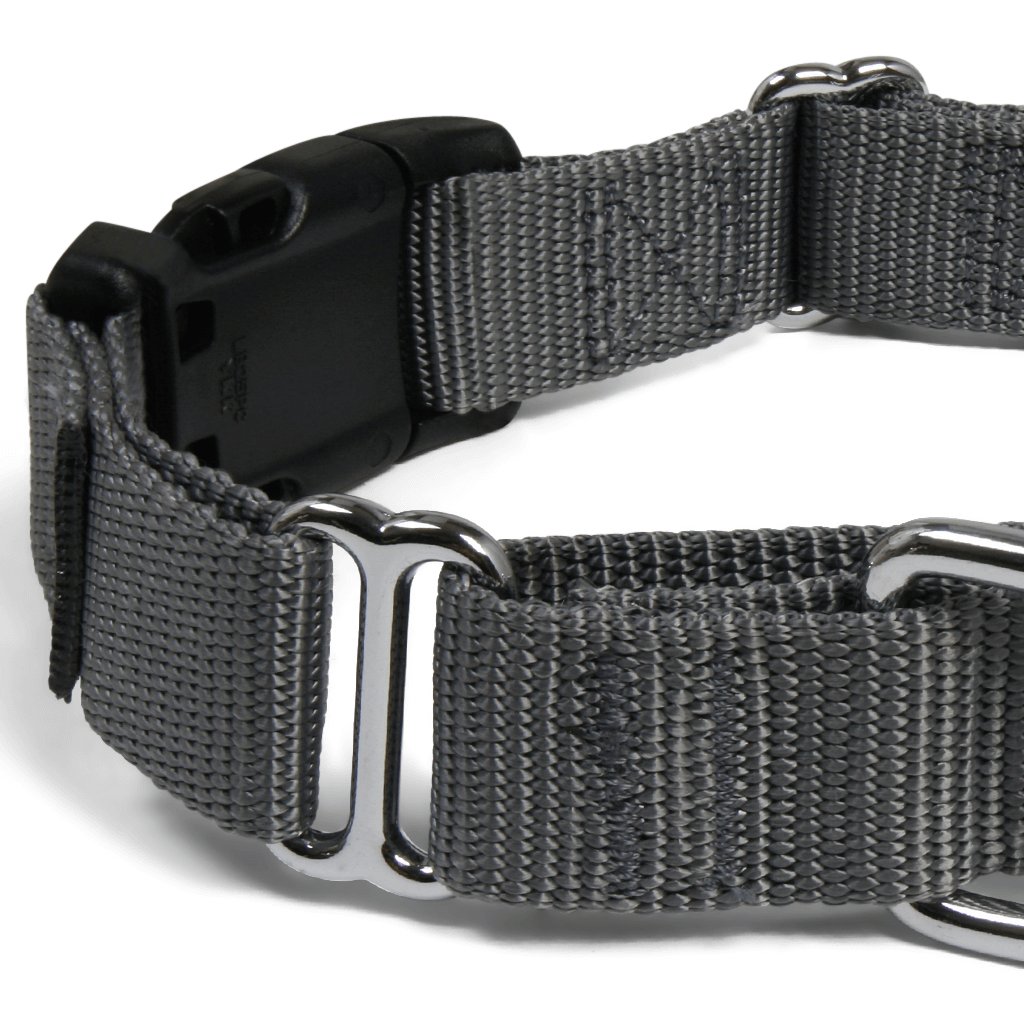 Comfy Martingale Collar