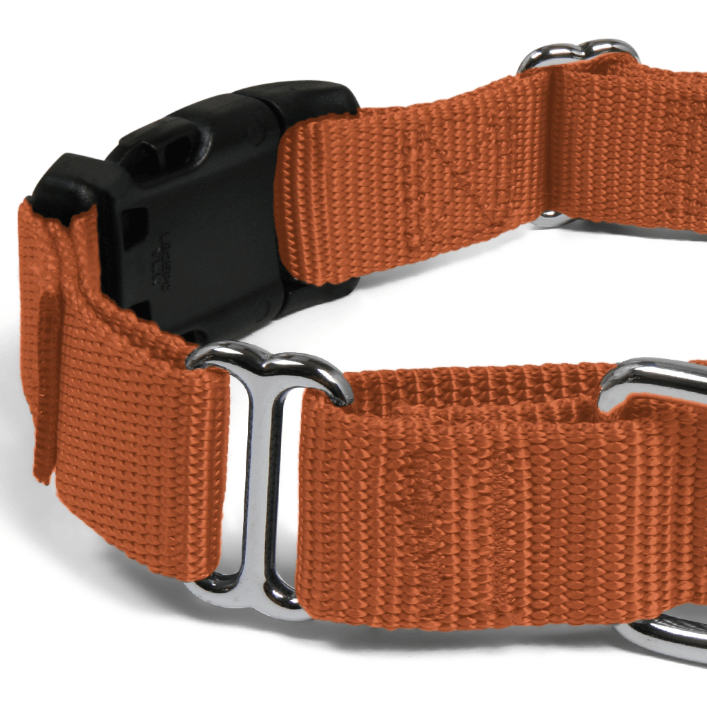 Comfy Martingale Collar