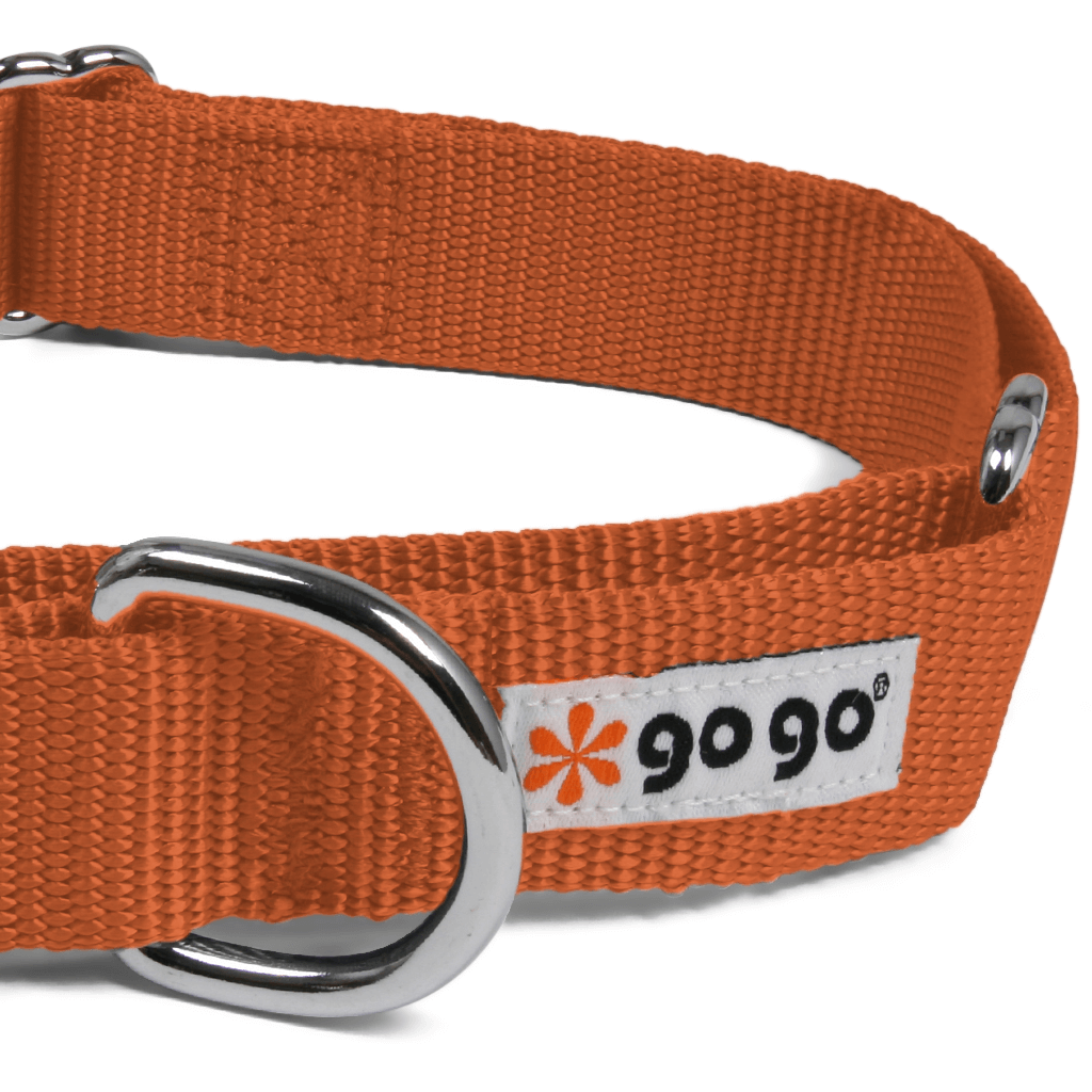 Comfy Martingale Collar