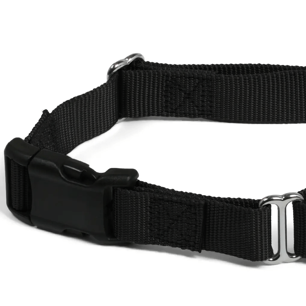 Comfy Martingale Collar