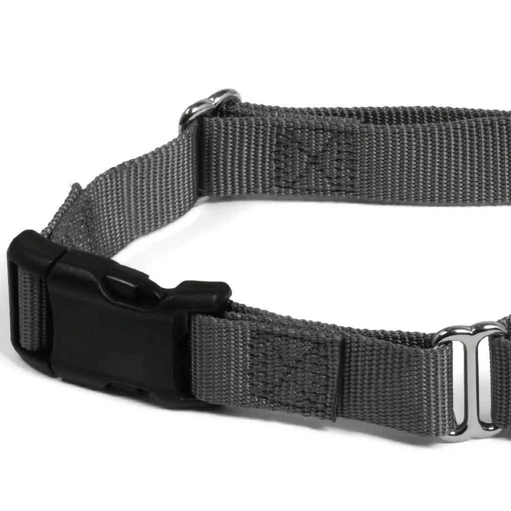 Comfy Martingale Collar