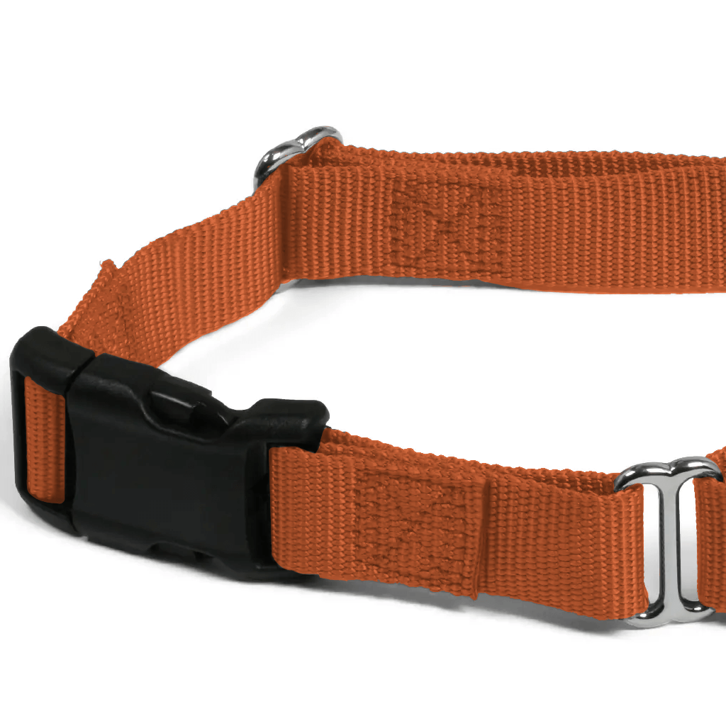 Comfy Martingale Collar