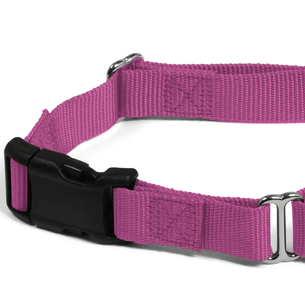 Comfy Martingale Collar