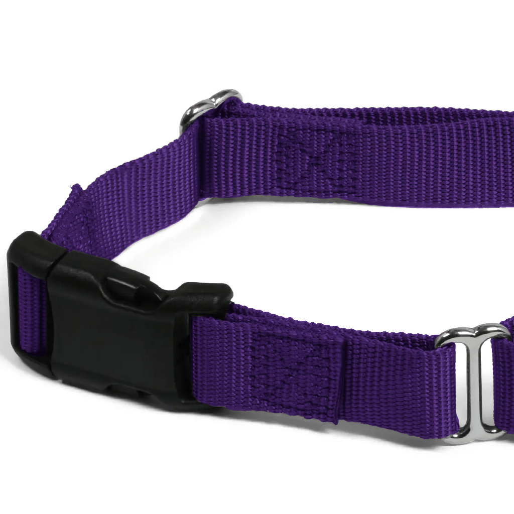 Comfy Martingale Collar