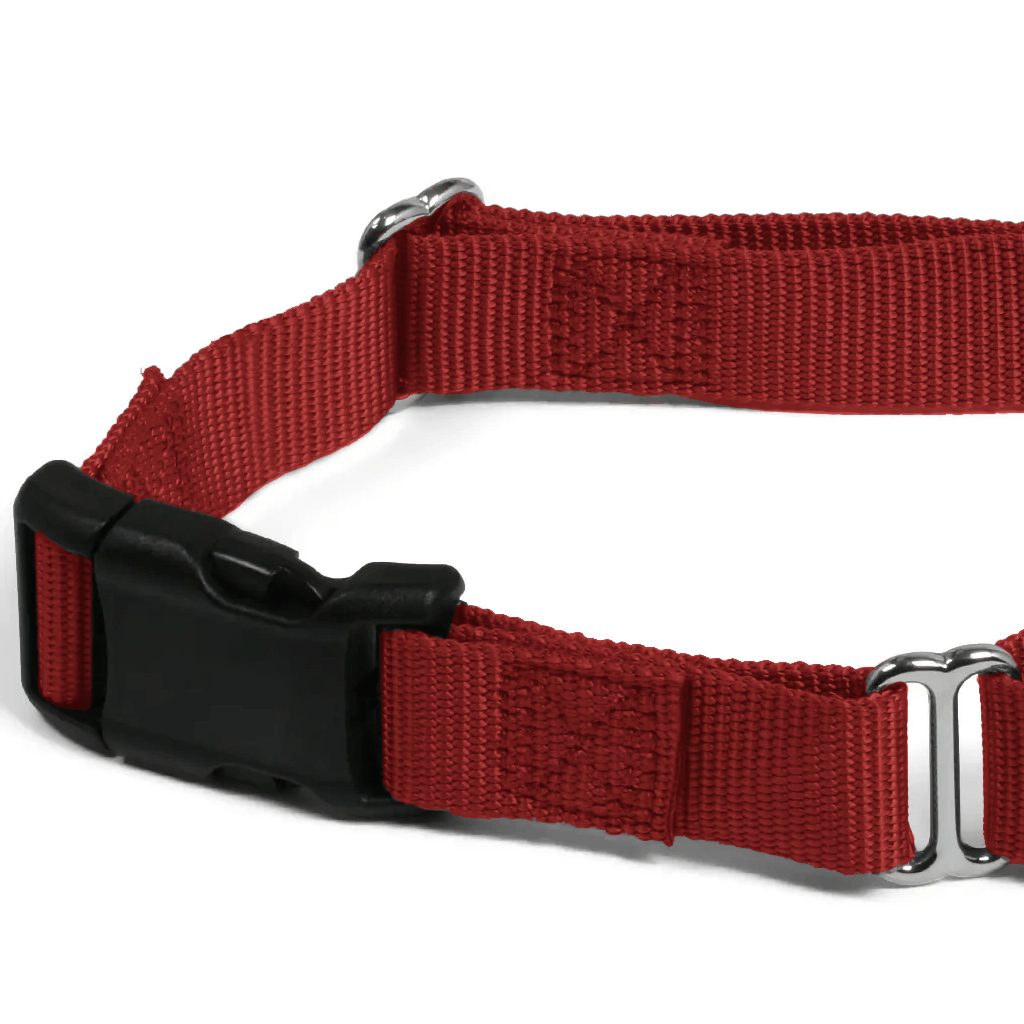 Comfy Martingale Collar