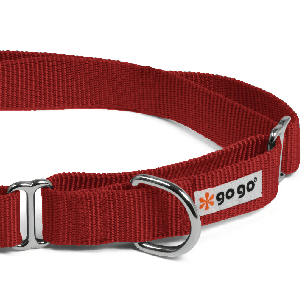 Comfy Martingale Collar