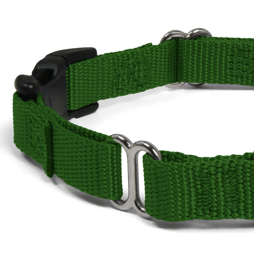 Comfy Martingale Collar