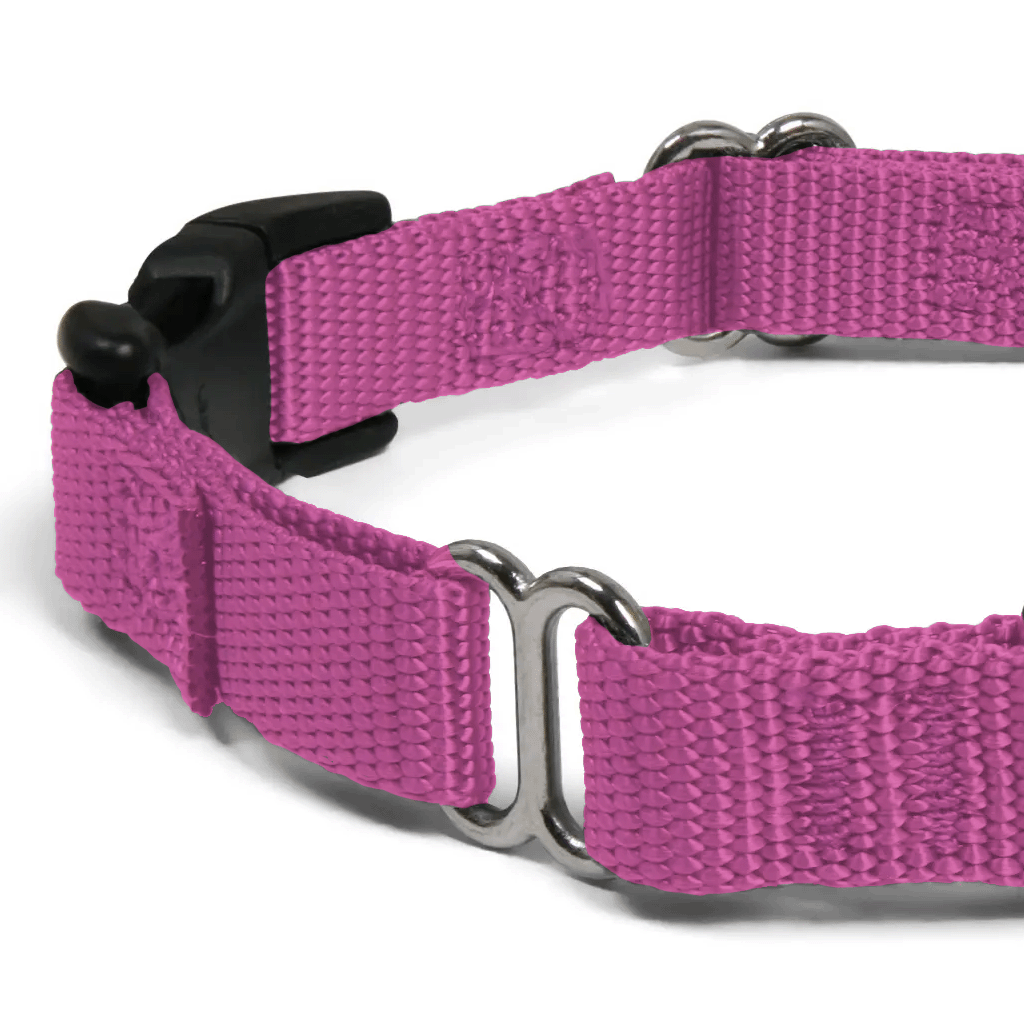 Comfy Martingale Collar