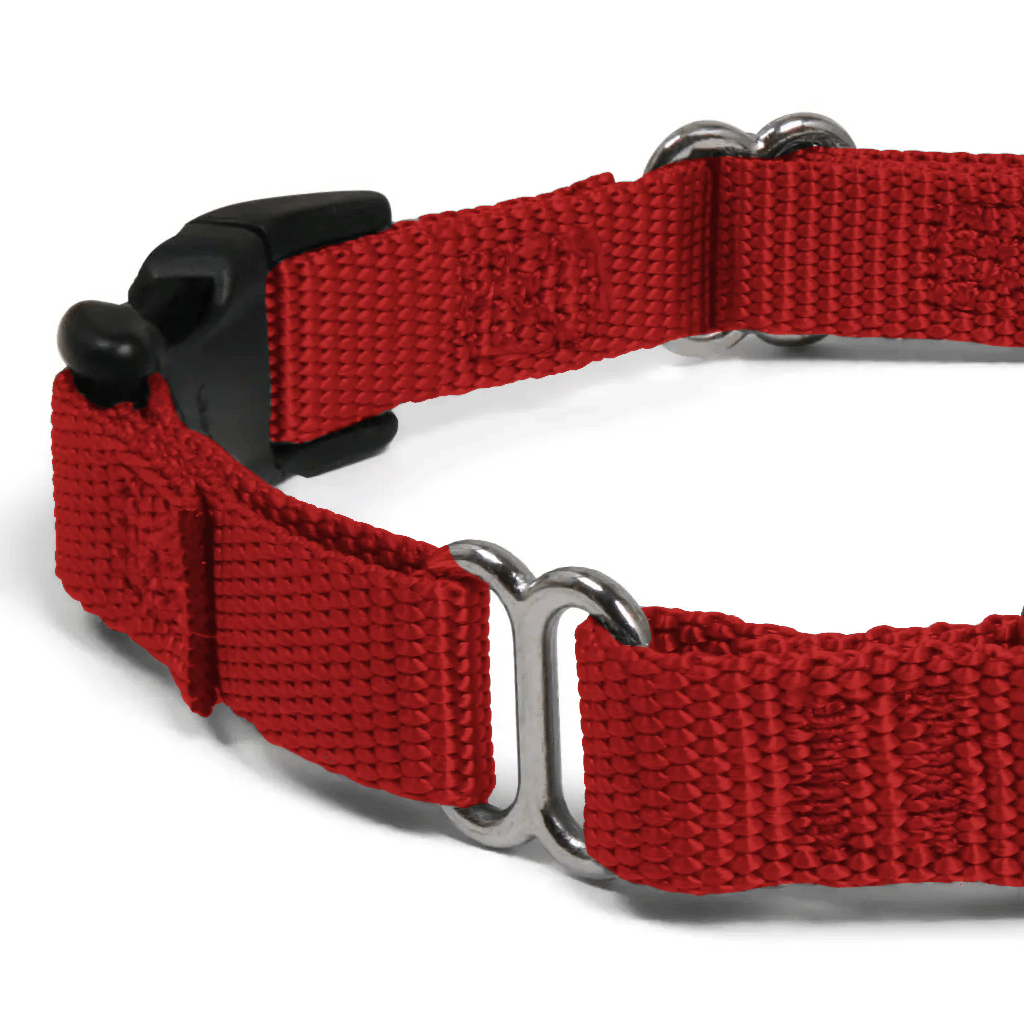 Comfy Martingale Collar