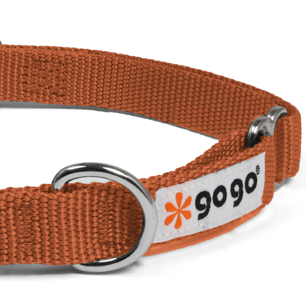 Comfy Martingale Collar