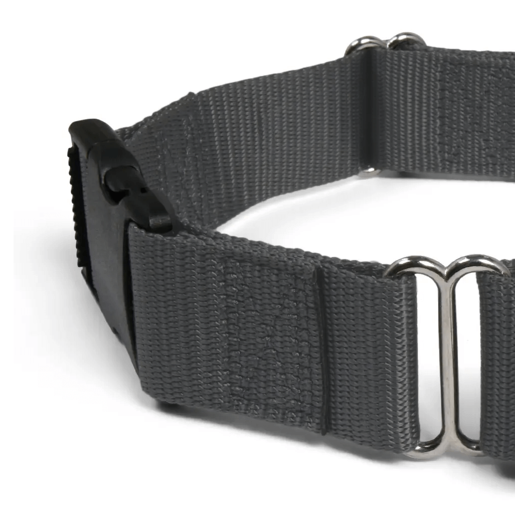 Comfy Martingale Collar