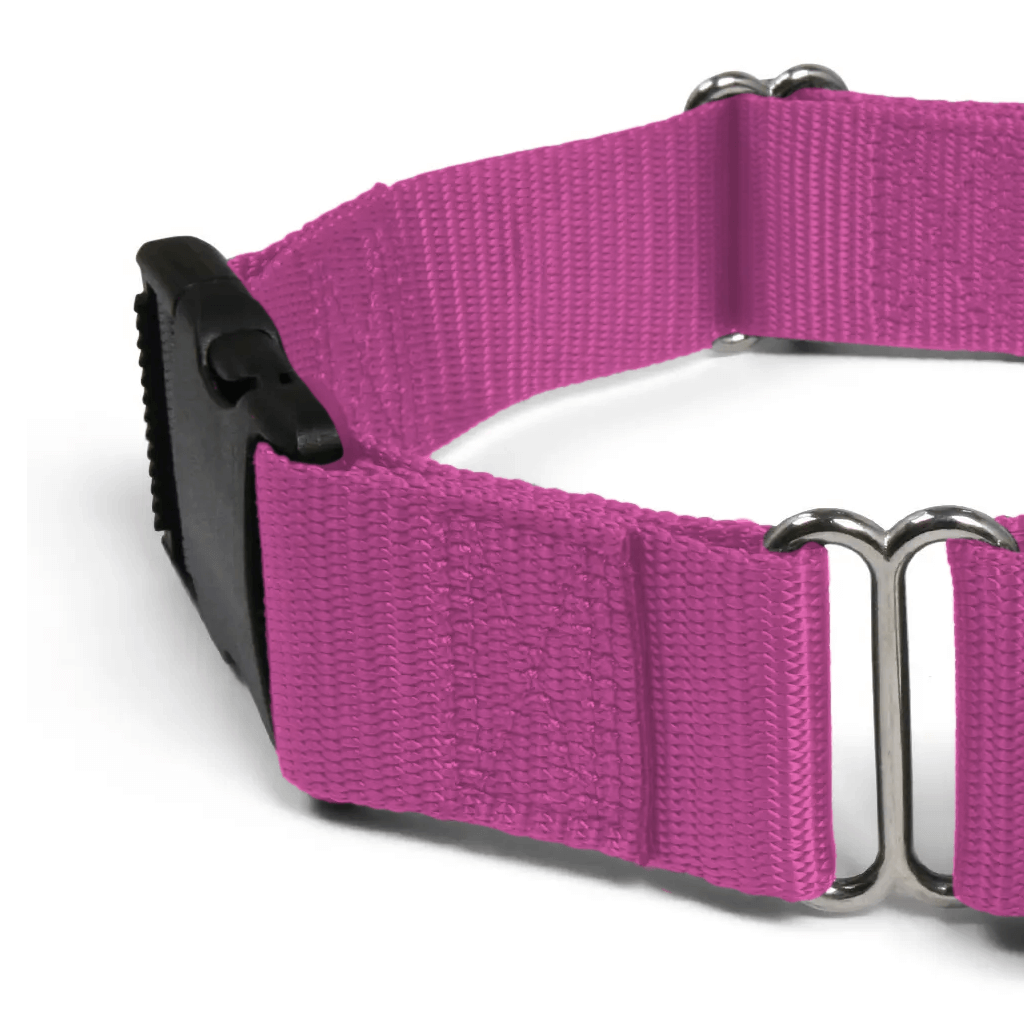 Comfy Martingale Collar