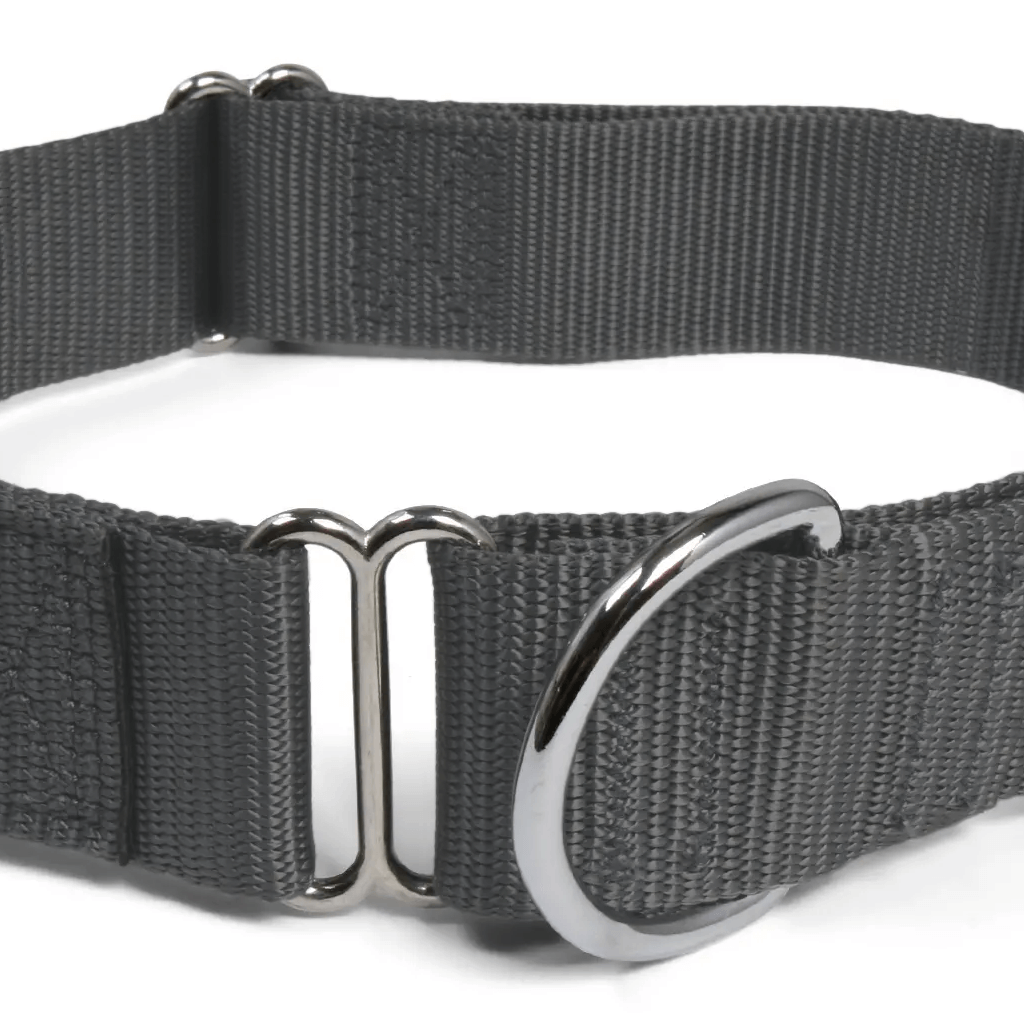 Comfy Martingale Collar