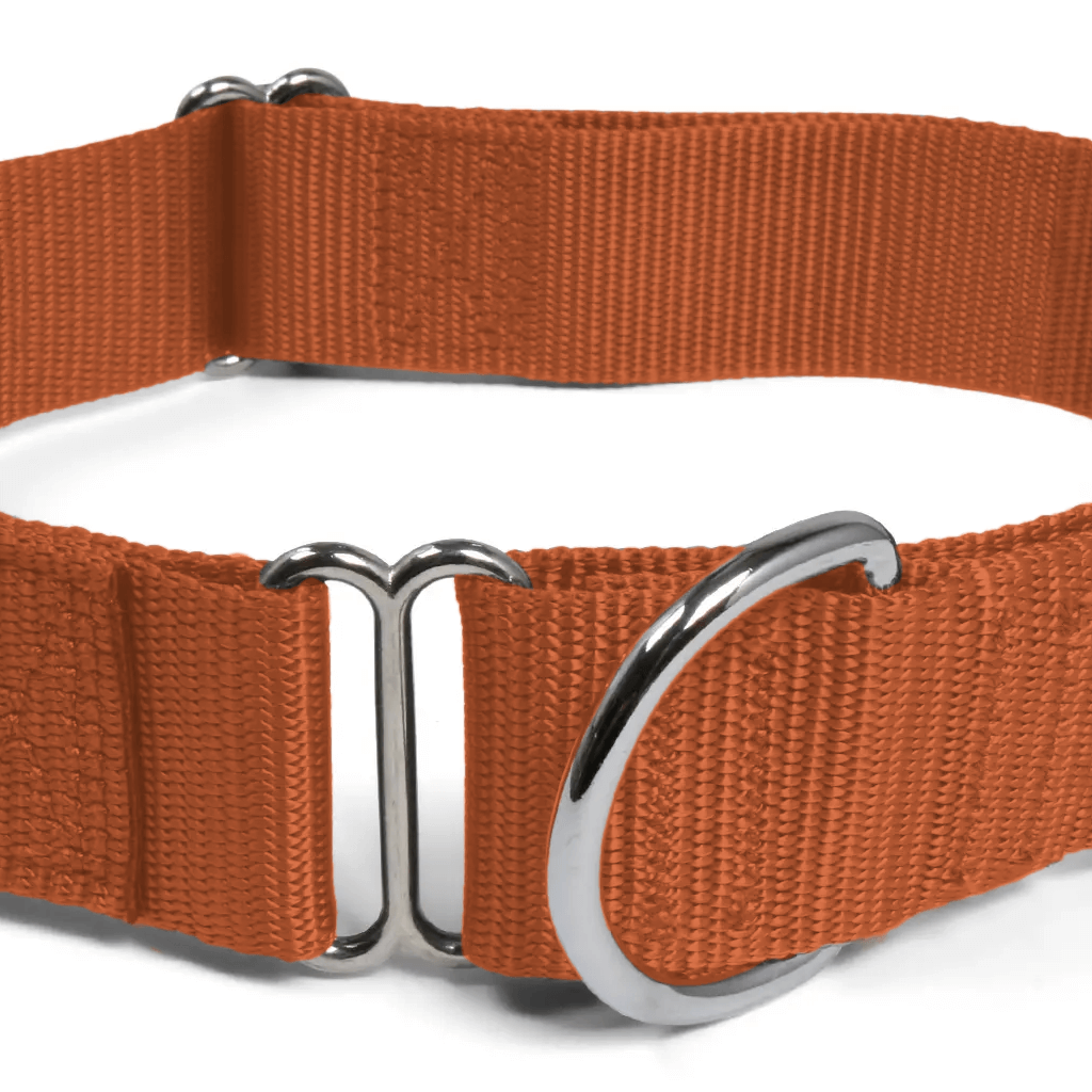 Comfy Martingale Collar