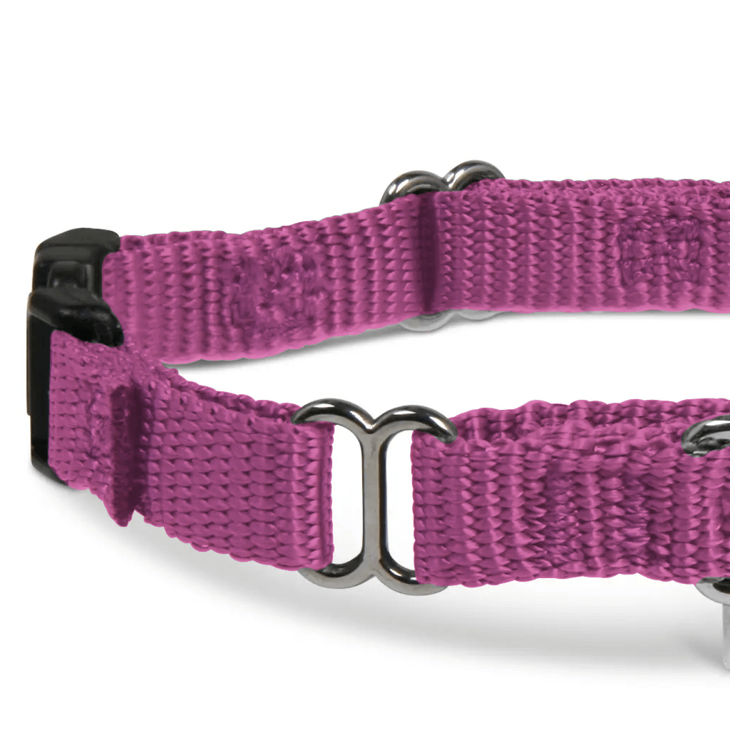 Comfy Martingale Collar