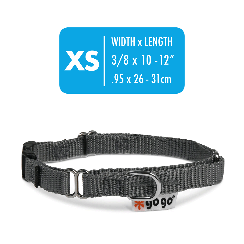 Comfy Martingale Collar