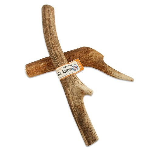 GoGo Elk Antler