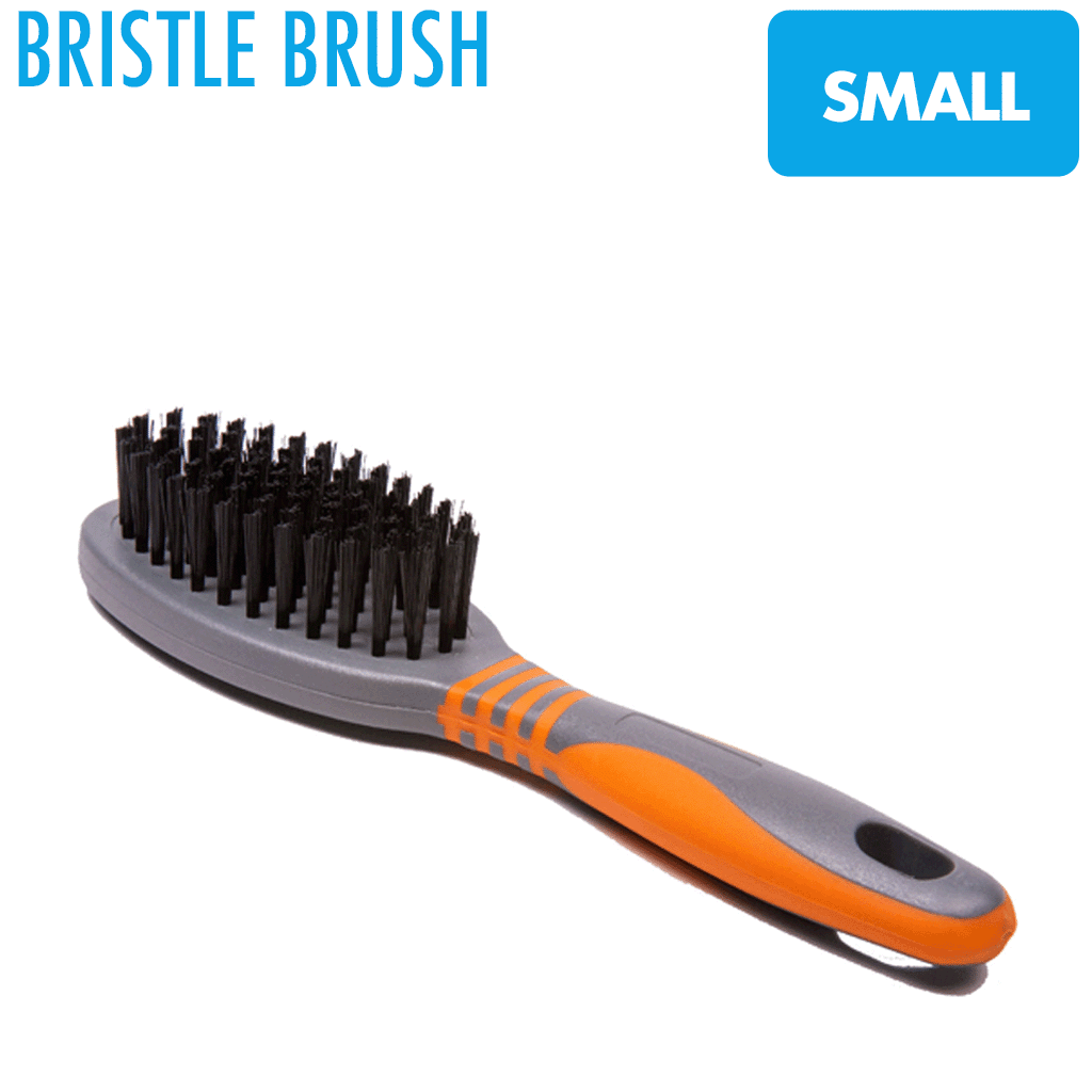Bristle online brush dog
